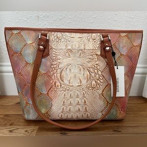 NWT Brahmin Medium Asher in Scallop Bondi